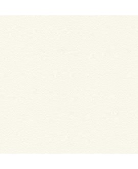 C02592_K101_PE_20_20_lowWeb