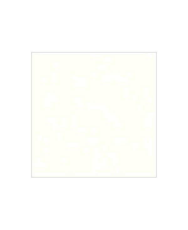 C04605_Glacier White