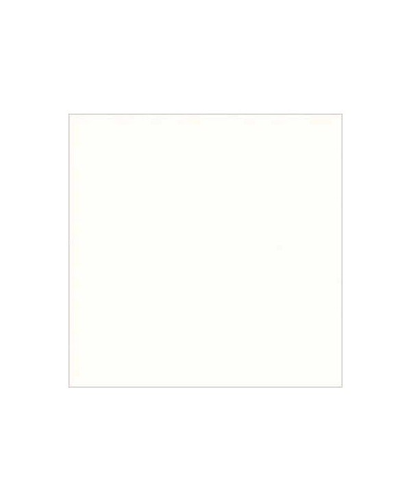 C04608_Cameo White