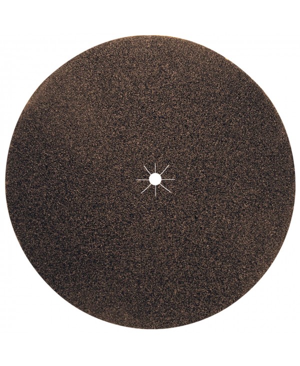 C02494_Disque_Abrasif_DM_178x8mm
