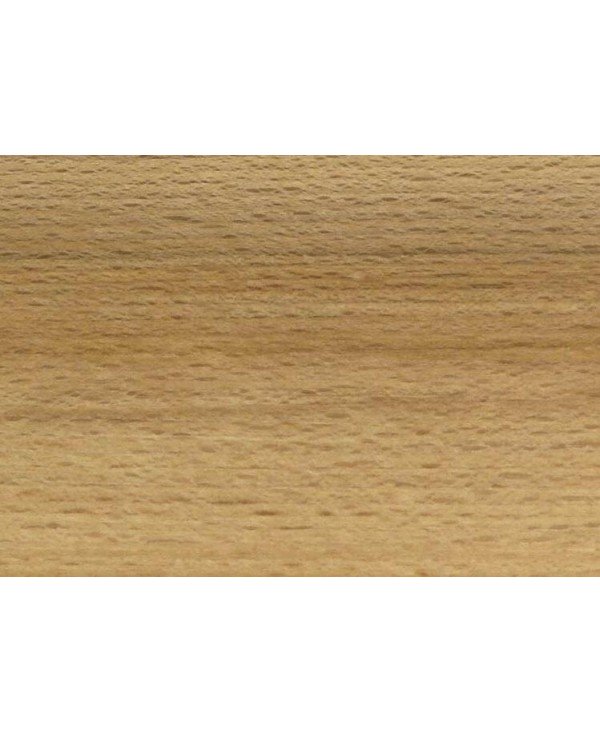 M10855_Hêtre