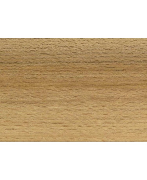 M9697_Hêtre