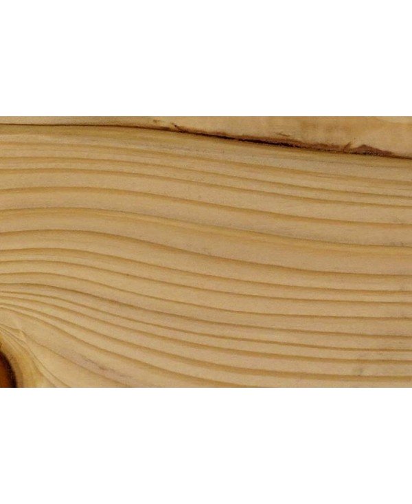 M15966_Sapin