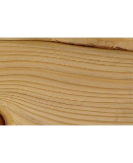 M15974_Sapin