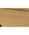 M15974_Sapin