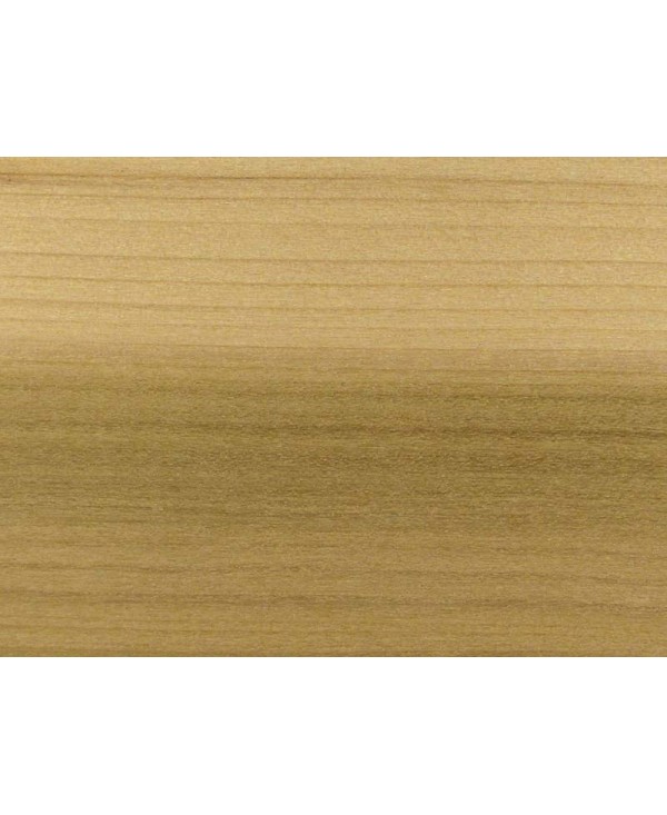 M15975_Tulipier