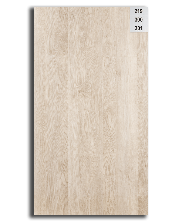 219_CoraboisParquet219